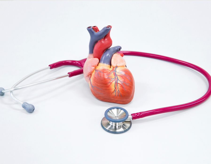 Thyroid Function Test